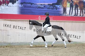 181887_mtp_04_R62_9154.JPG