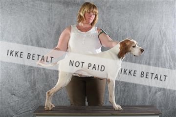 129608_le_ 02_0340.JPG