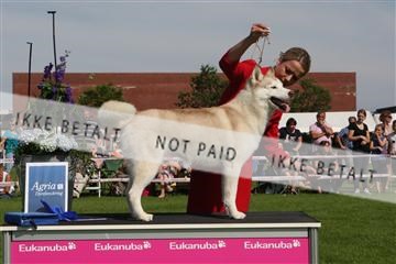 130370_se_02_IMG_6493.JPG