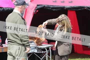 124188 _tl_02_IMG_9497.JPG