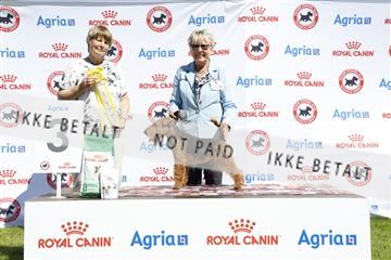 181564_ch_01__62_9226.JPG