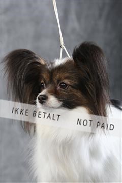 129608_le_ 01_0448.JPG