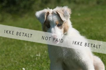 130370_se_03_IMG_6821.JPG