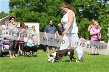 181564_rin_02_R62_2752.JPG