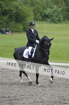 140040_abo_01__AB16772.JPG