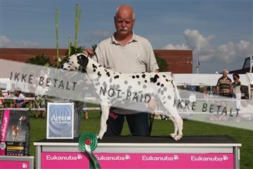 130370_se_03_IMG_7879.JPG