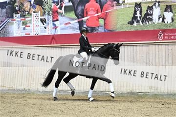 182241_kbb_01_Z094043.JPG