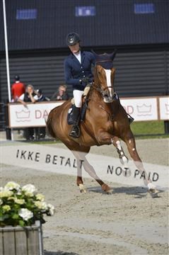 139644_abo_01__AB13709.JPG
