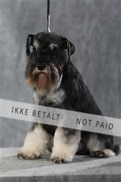 128239_le_kort_ 01_0397.JPG