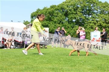 181564_rin_02_R62_2700.JPG