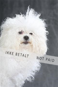 130054_le_ 01_0159.JPG