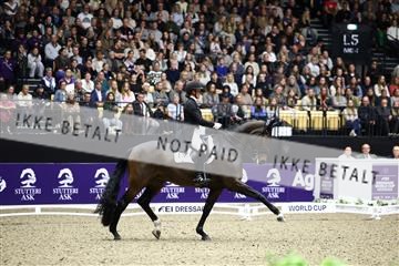182194_avh_07_4247.JPG
