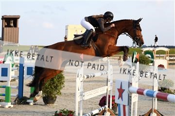 181922_avh_05_2524.JPG