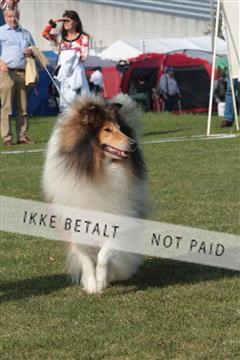 6068_ma_06_IMG_3505.JPG