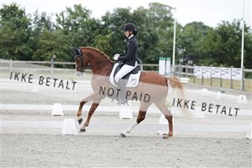 166078_rhj_01__J7R4576.JPG