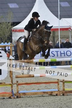 139644_abo_01__AB14167.JPG