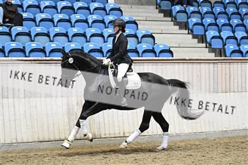 182241_kbb_01_Z095142.JPG