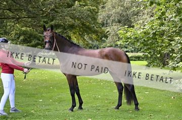 _Z090200.JPG