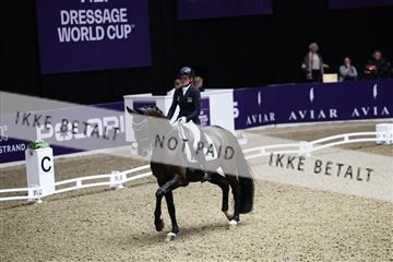 182194_avh_05_2506.JPG