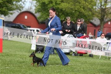 134871_ms_04_IMG_1087.JPG