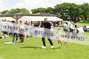 181564_kar_01__62_6855.JPG