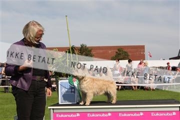 130370_se_02_IMG_6516.JPG