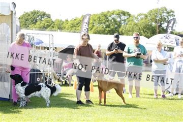 181564_kar_01__62_7983.JPG