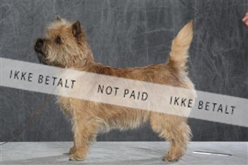 130054_le_ 03_0079.JPG