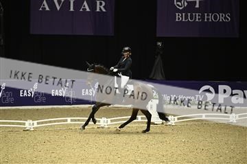 182194_kbb_01_Z094917.JPG
