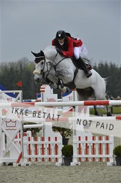 139644_abo_06__AB10222.JPG
