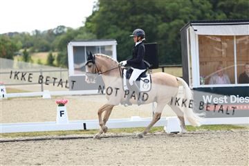 181894_mtp_02_R62_1672.JPG
