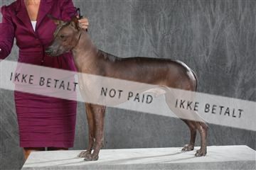 130054_le_ 03_0214.JPG