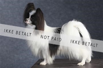 132082_le_ 01_IMG_1582.JPG