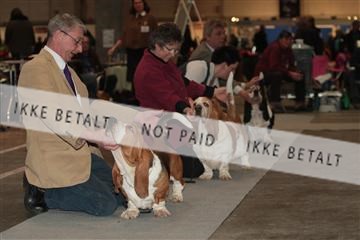133496_tl_01_IMG_1669.JPG