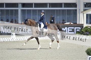 169586_kuo_04__D4S0287.JPG