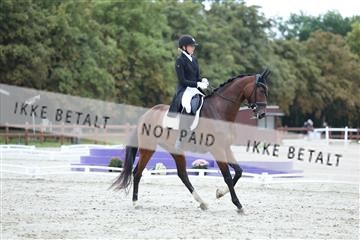 181923_mtp_01_R62_6643.JPG