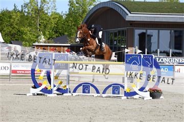 181436_avh_02_3569.JPG