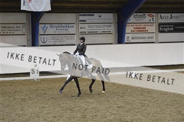 140040_abo_02__AB19471.JPG
