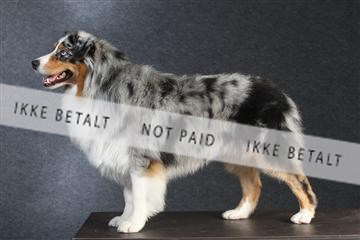 132082_le_ 01_IMG_0151.JPG