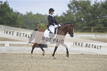 169624_kbb_01__KBB7929.JPG