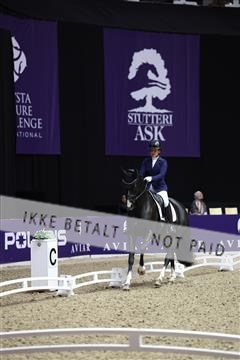 182194_mlm_02_R62_0879.JPG