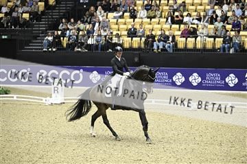 182194_kbb_02_Z099250.JPG