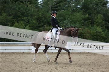 156196_nn_01_IMG_6501.JPG