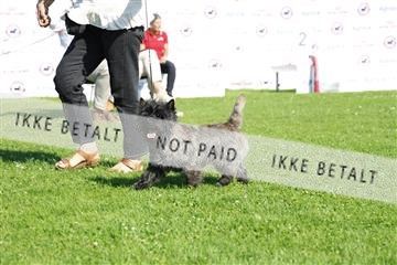 181564_kar_01__62_8261.JPG