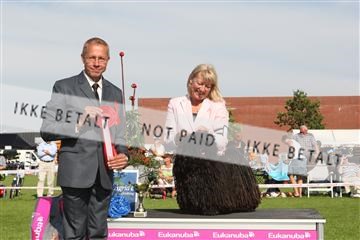 130370_se_02_IMG_6568.JPG
