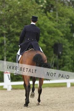 139835_sg_02_IMG_8564.JPG
