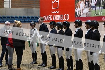 182241_kbb_01_Z095341.JPG