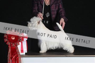 132082_le_ 01_IMG_1390.JPG