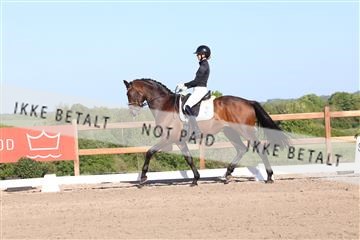 181449_bc_01R62_6317.JPG