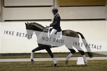 141472_abo_01__AB15032.JPG